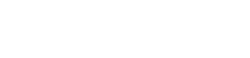 Check visa conditions online (VEVO)